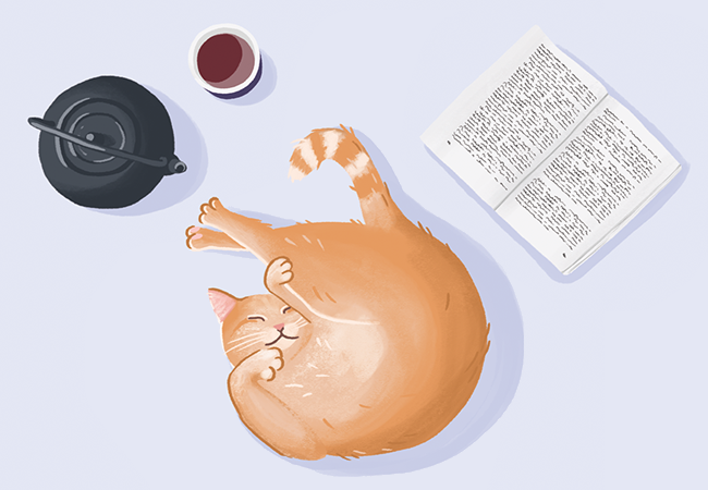 Tea and cat book RVB650x450