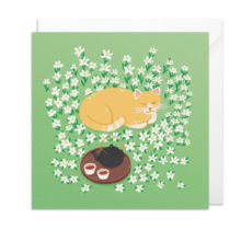Card square_enveloppe CAT 01