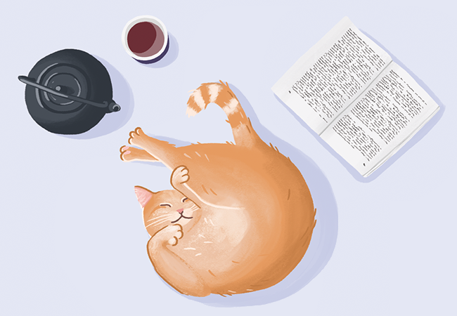 Tea and cat book illustration manon richard
